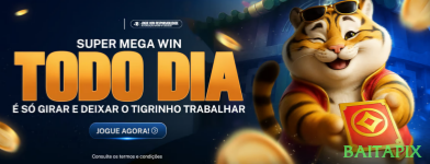 Sistemas de Segurança baitapix